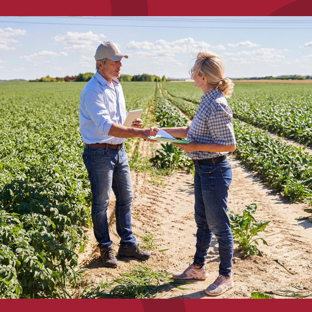 A man and a woman are shaking hands in the middle of a field.